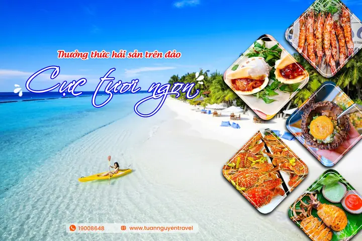 Cù Lao Xanh Quy Nhơn 1 Ngày Cù Lao Xanh Quy Nhơn 1 Ngày