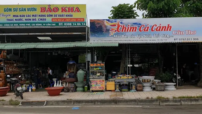 Cửa Hàng Chim Cá Cảnh Cần Thơ