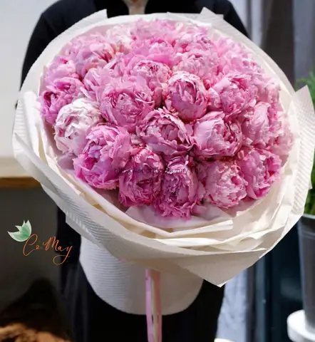 Shop Hoa Cỏ May – Thiên Đường Hoa Tươi Đẹp “rụng Tim” Giữa Lòng Hà Nội