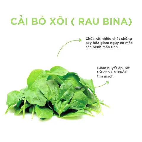 Bột Cải Bó Xôi Sấy Lạnh (rau Bina)