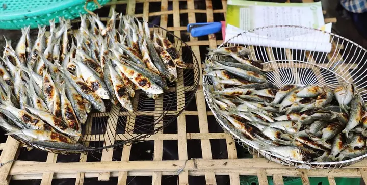Cá Trích Biển Diễn Châu: Ngon Và Độc Đáo | Vietnam+ (vietnamplus)