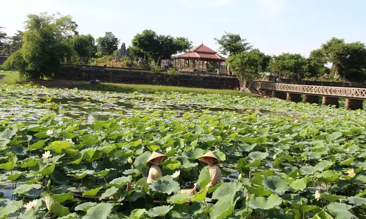 Địa Chỉ: Phường Thuận Thành, Thành Phố Huế, Tỉnh Thừa Thiên Huế.