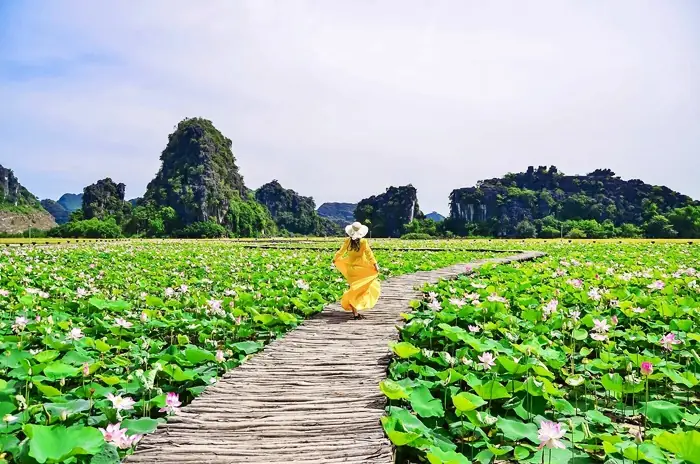 Địa Chỉ: Khu Du Lịch Hang Múa, Thôn Khê Đầu Hạ, Xã Ninh Xuân, Huyện Hoa Lư, Tỉnh Ninh Bình.