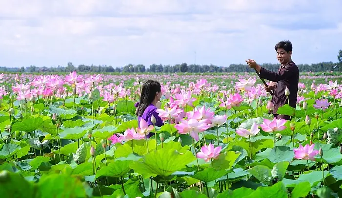 Địa Chỉ: Xã Mỹ Hòa, Huyện Tháp Mười, Tỉnh Đồng Tháp.