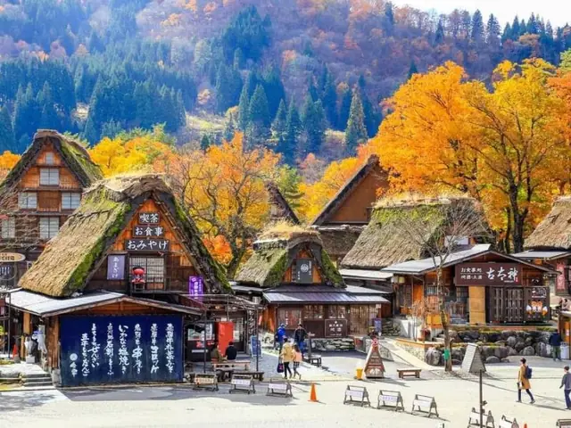 11. Làng Lịch Sử Shirakawa-go Và Gokayama