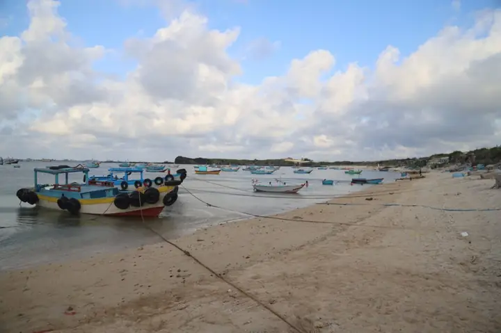 Đảo Phú Quý Và Những Câu Hỏi Thường Được Tìm Kiếm Những Năm ...