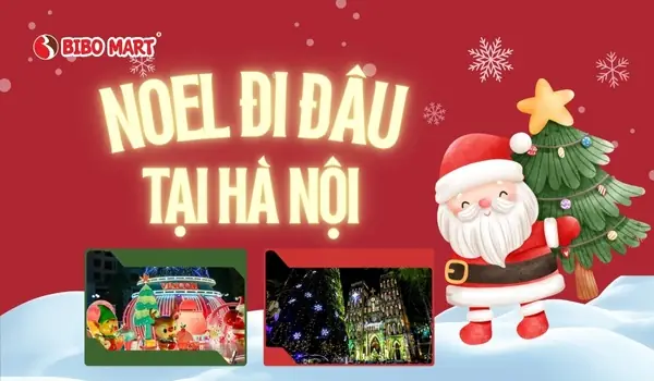 Noel Đi Đâu