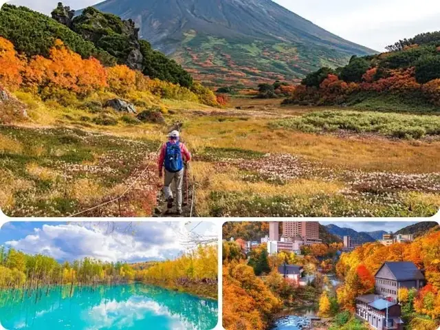 Hokkaido – Nơi Đón Mùa Thu Sớm Nhất