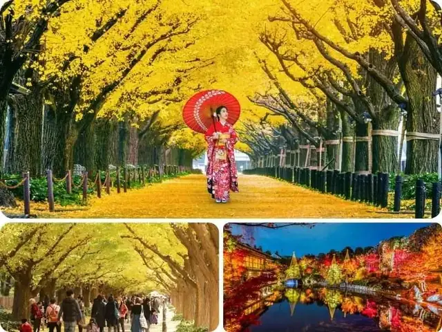 Tokyo – Địa Điểm Nổi Tiếng Khi Đi Du Lịch Mùa Thu