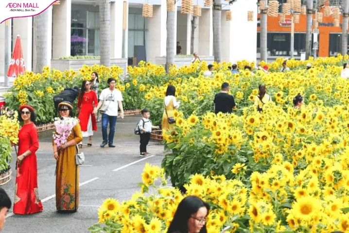 16. Cầu Ánh Sao