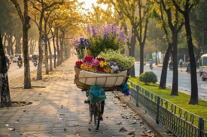 Thủ Đô Hà Nội: Hương Hoa Sữa Và Cốm Vòng