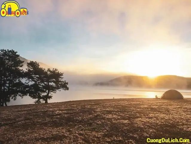 Nhật Ký Qua Đêm Tại Cây Thông Cô Đơn