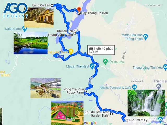 Địa Điểm Tham Quan Cùng Tuyến Đường Đi Cây Thông Cô Đơn