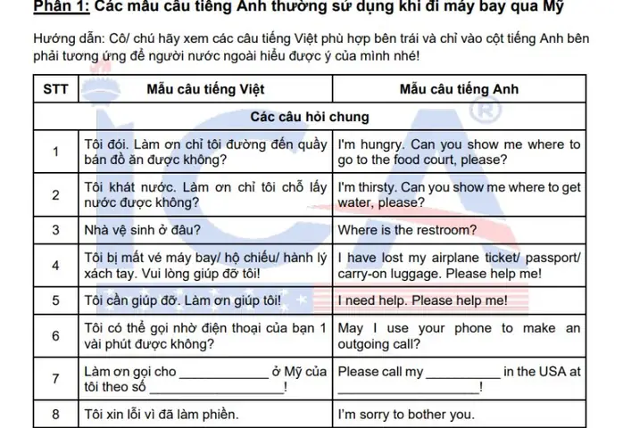 Hướng Dẫn Toàn Tập: Cách Vận Chuyển Tro Cốt Đi Máy Bay An Toàn Và Hợp Pháp