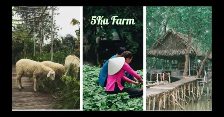 Địa Điểm Picnic Ở Tp. Hcm - 5ku Farm Địa Điểm Picnic Ở Tp. Hcm - 5ku Farm