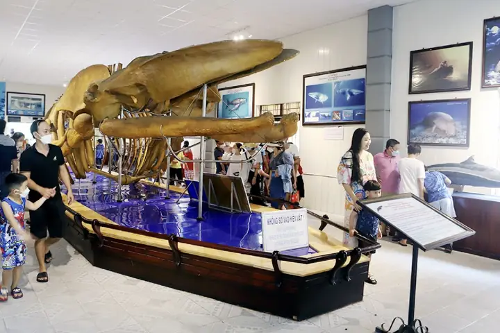 Viện Hải Dương Học Nha Trang
