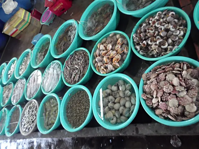 Đảo Cần Giờ