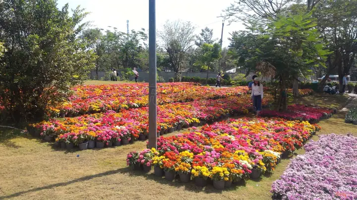Khu Du Lịch Bửu Long - Vịnh Hạ Long Phương Nam
