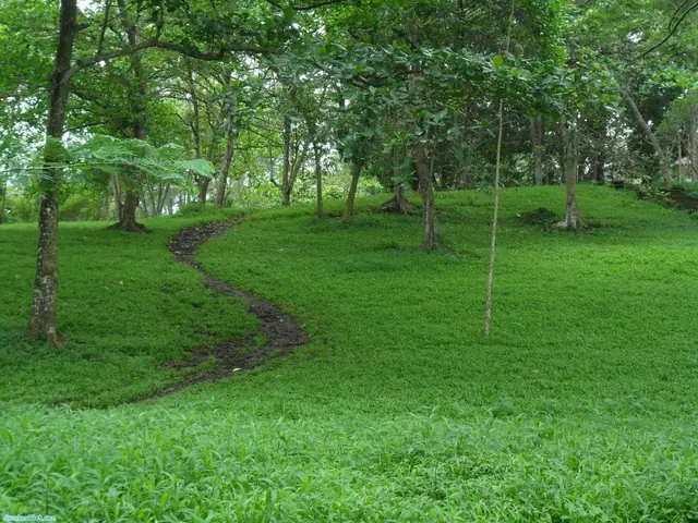 Khu Du Lịch Văn Hóa Suối Tre - Đà Lạt Của Miền Đông