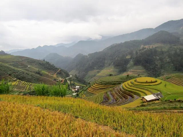Ruộng Lúa Mâm Xôi Là Địa Điểm Được Check In Nhiều Nhất Ở Mù Cang Chải Ruộng Lúa Mâm Xôi Là Địa Điểm Được Check In Nhiều Nhất Ở Mù Cang Chải