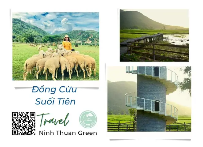 22. Đồng Cừu Suối Tiên