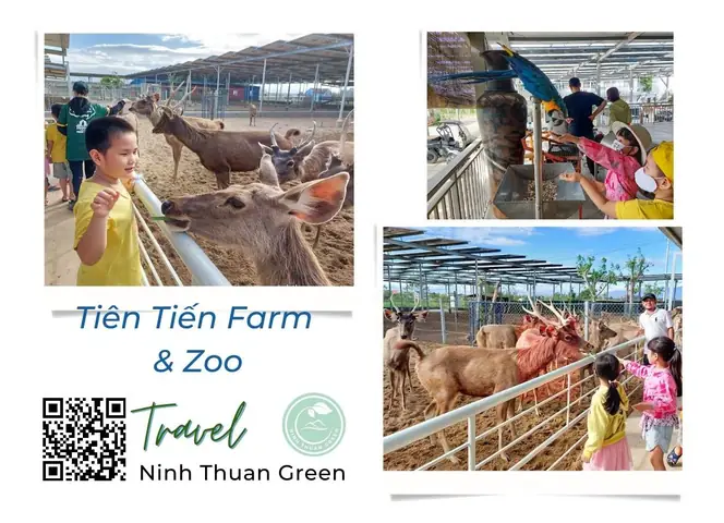 18. Tiên Tiến Farm & Zoo