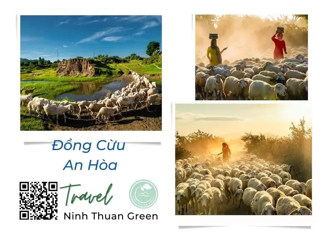 16. Đồng Cừu An Hòa
