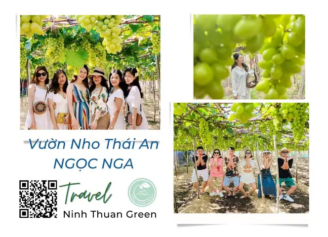 Vườn Nho Thái An