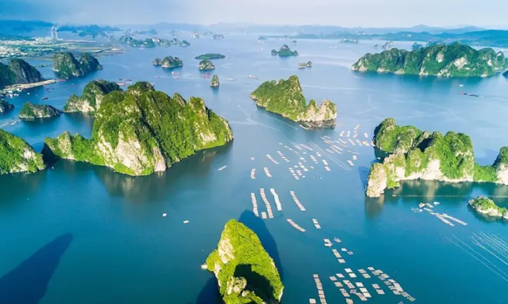 12. Vịnh Hạ Long 12. Vịnh Hạ Long