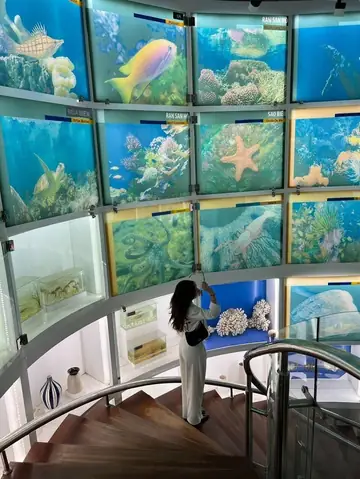 Bảo Tàng Quảng Ninh Bảo Tàng Quảng Ninh