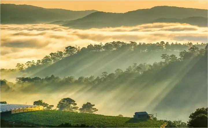 Đồi Túy Sơn