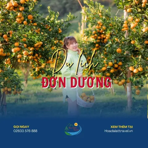 Du Lịch Đơn Dương Có Gì Thú Vị? 12 Điểm Check In Ở Đơn Dương Du Lịch Đơn Dương Có Gì Thú Vị? 12 Điểm Check In Ở Đơn Dương