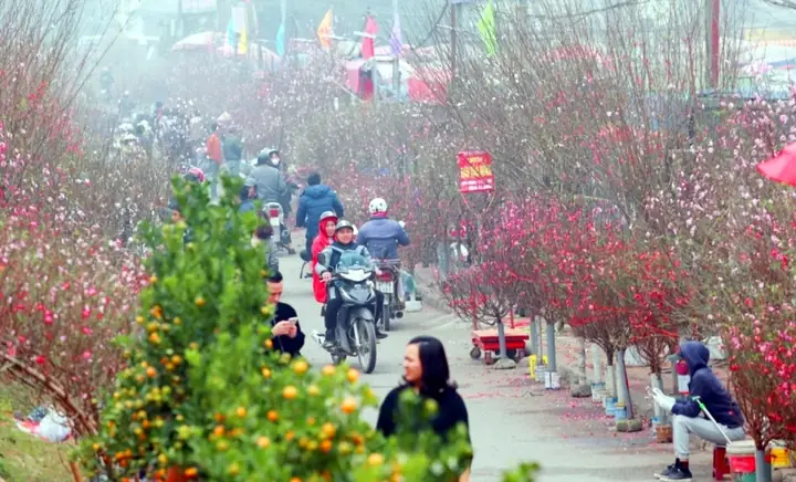 Thời Tiết Tết Nguyên Đán 2022: Các Tỉnh Miền Bắc Và Hà Nội Mưa Rét Thời Tiết Tết Nguyên Đán 2022: Các Tỉnh Miền Bắc Và Hà Nội Mưa Rét