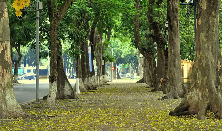 Thời Điểm Lý Tưởng Để Du Lịch Hà Nội