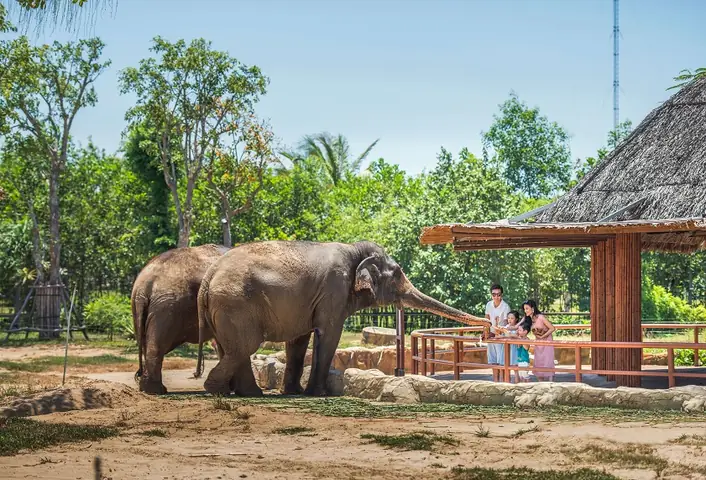Thoải Mái Vui Chơi Ở Vinwonders Nam Hội An