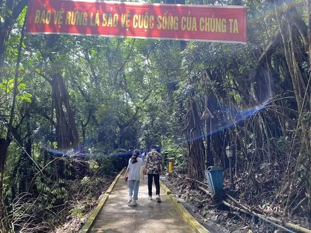 Khám Phá Khu Rừng Nguyên Sinh