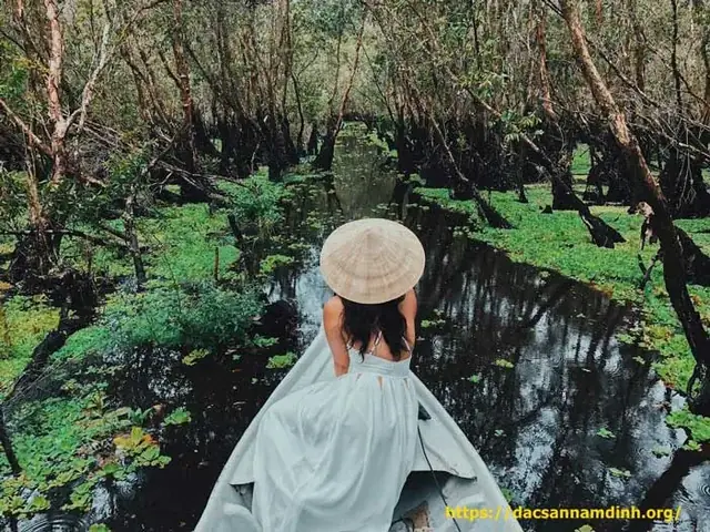 Rừng Tràm Trà Sư (an Giang): Hành Trình Xuyên Rừng Tràm Thẳng Tắp Rừng Tràm Trà Sư (an Giang): Hành Trình Xuyên Rừng Tràm Thẳng Tắp