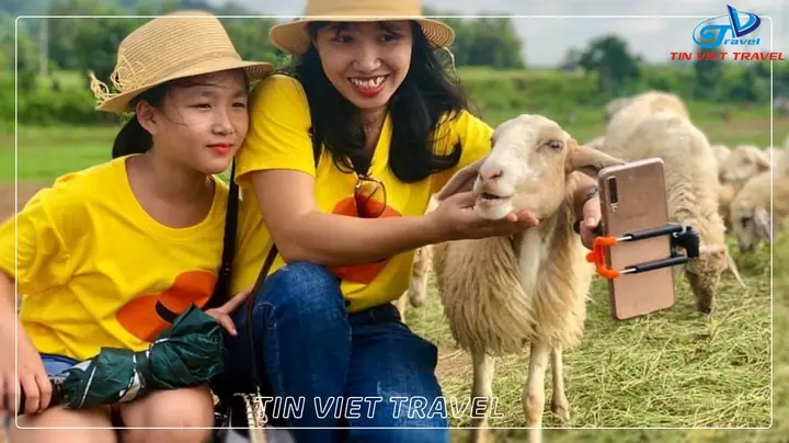 Ngày 05: Tp.hcm – Long Hải (125km) ( Ăn Sáng, Trưa, Tối)