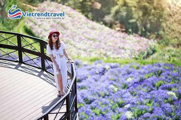Hình Ảnh Khách Hàng Của Vietrend Travel Đi Du Lịch Nha Trang – Đà Lạt