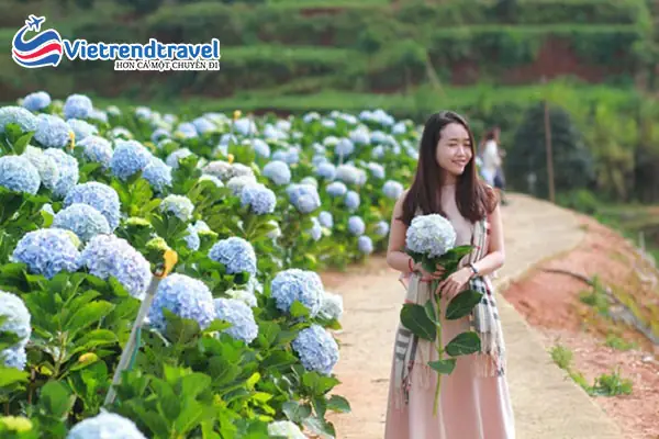 Hình Ảnh Khách Hàng Của Vietrend Travel Đi Du Lịch Nha Trang – Đà Lạt