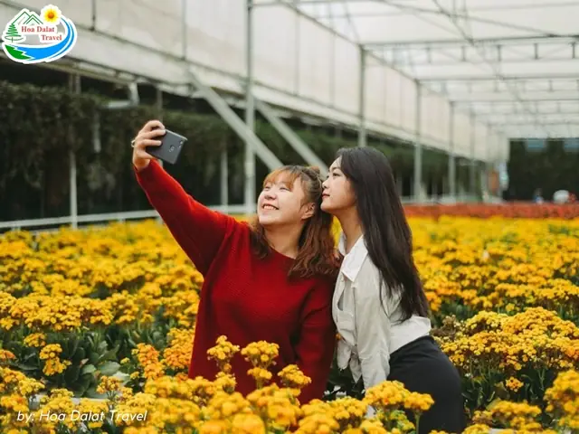 Hình Ảnh Du Khách Tham Quan Làng Hoa Thái Phiên Đà Lạt