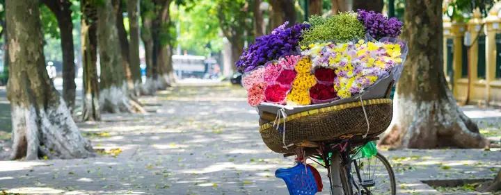 Flights From Sydney (syd) To Ho Chi Minh City (sgn) | Qantas Au