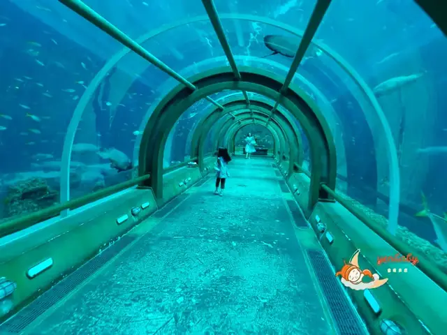 [3.海洋宮殿]