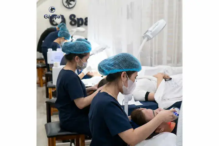 Gà Spa Trị Mụn Tốt Không? Đánh Giá Chi Tiết Từ Chuyên Gia