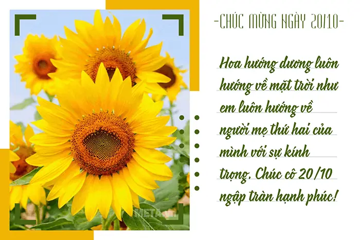 Những Lời Chúc Mừng Nào Thích Hợp Để Ghi Trên Thiệp Chúc Mừng 20/10 Cho Cô Giáo?