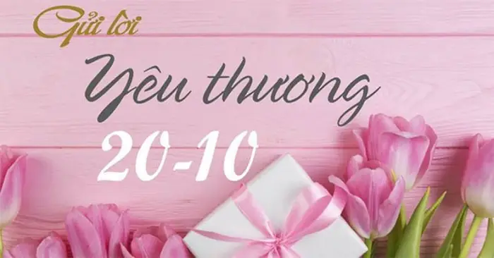 Những Lời Chúc Mừng Nào Thích Hợp Để Ghi Trên Thiệp Chúc Mừng 20/10 Cho Cô Giáo?