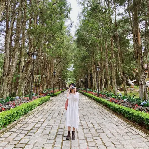 Giá Vé Dinh Bảo Đại 1