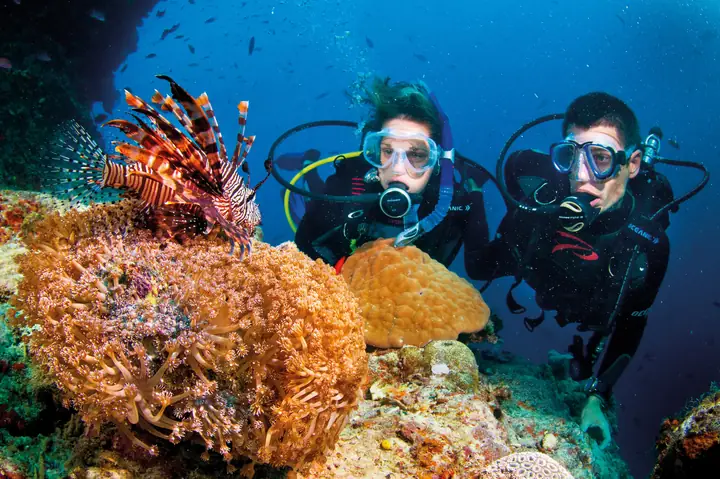 Lặn Biển Nha Trang: Địa Điểm, Giá Vé, Kinh Nghiệm Siêu Chi Tiết