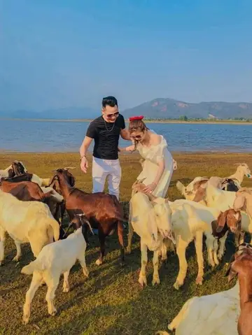 Tới Pleiku, Đi Đâu, Chơi Gì?