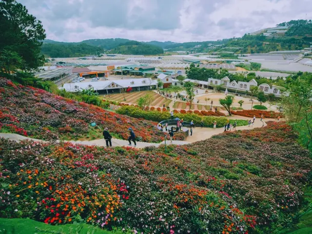 Review Nông Trại Cún Puppy Farm Đà Lạt - Giá Vé Ưu Đãi 2025